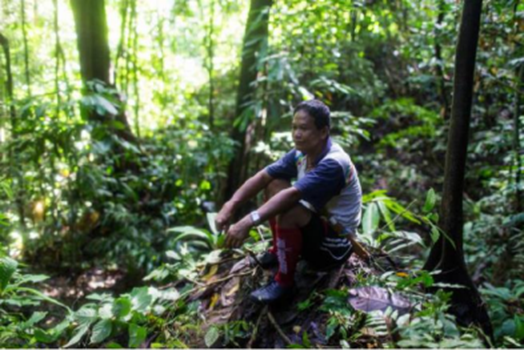 Steps towards sustainable finance for community forest management in the Heart of Borneo