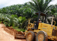 Challenges and opportunities in Indonesia’s legal framework for achieving zero deforestation in the palm oil sector