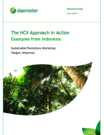 The HCV approach in action: Examples from Indonesia