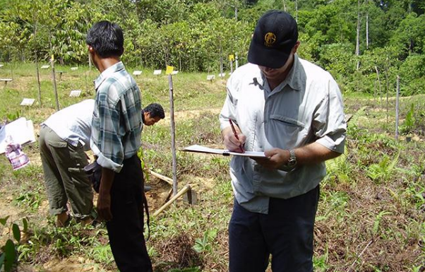 Natural resource licensing and Indonesia’s economic resilience