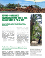 Beyond Compliance: Advancing Human Rights Risk Management in Palm Oil?