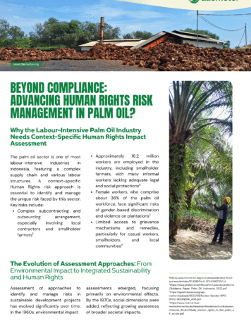 Beyond Compliance: Advancing Human Rights Risk Management in Palm Oil?