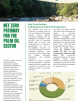 Net Zero Pathway for The Palm Oil Sector