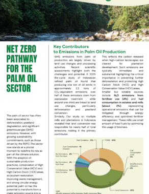Net Zero Pathway for The Palm Oil Sector