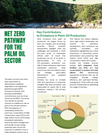 Net Zero Pathway for The Palm Oil Sector